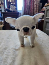 Hansa french bulldog for sale  BEXHILL-ON-SEA