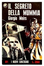 Giorgio meirs segreto usato  Reggio Calabria