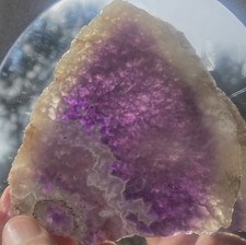 Amethyst amazing lacy for sale  San Jose