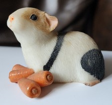 Guinea pig carrots for sale  CORBY