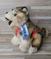 Kipmik eskimo dog for sale  North Port