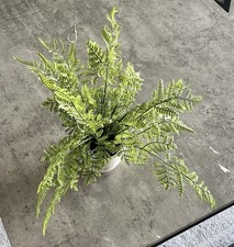 Artificial fern plant for sale  SALFORD