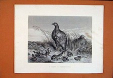 Original old antique for sale  UK