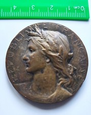 Medaglia repubblica francese usato  Città di Castello