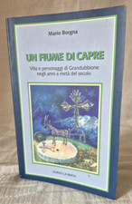 L289 borgna fiume usato  Torino