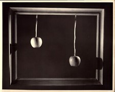 Vintage press photograph for sale  USA