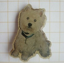 West highland terrier gebraucht kaufen  Münster