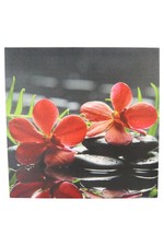 Rchidee fotoprint bild gebraucht kaufen  Deutschland