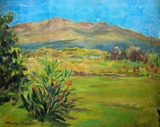 Vintage hawaiian landscape for sale  Honolulu