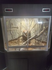 Delta eck terrarium gebraucht kaufen  Nordenham