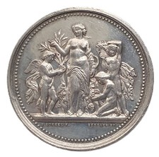 INÍCIO BAIXO! Medalha de prata Gironde Horticultural Society 1879 por Borrel & Scher., usado comprar usado  Enviando para Brazil