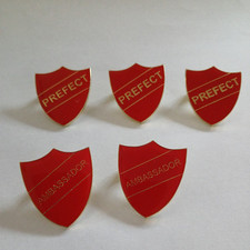 Prefect ambassador shield for sale  CHICHESTER