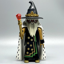 Playmobil ethnic wizard for sale  Saint Augustine