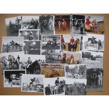 Show jumping collection for sale  GLASGOW