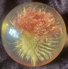 Vintage resin lucite for sale Vintage resin lucite for sale  BRIGHTON