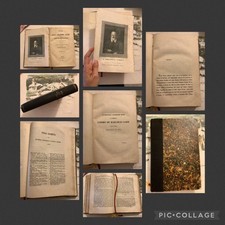 Dal 1800 al 1899 usato  Prato