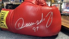 Oscar hoya autographed for sale  Providence