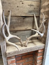 Unique looking set for sale  Show Low