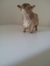 Sylvac bull prestige for sale  CULLOMPTON