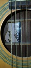 Olympia guitar 0d3 for sale  Staten Island