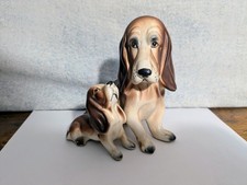 Basset hound mother for sale  Flippin