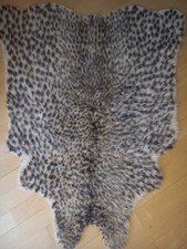 Leopard teppich leo gebraucht kaufen  Sauerlach