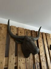 Stierkopf hörnern deko gebraucht kaufen  Attenhofen