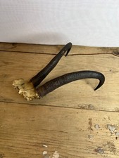 Vintage pair antlers for sale  PUDSEY