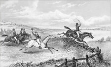 Equitation chasse courre d'occasion  Le Chesnay