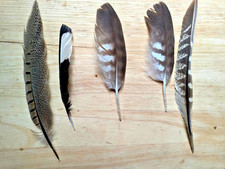 Natural free fallen for sale  TUNBRIDGE WELLS