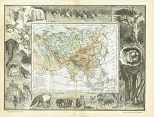 Asie physische original d'occasion Asie physische original d'occasion  Expédié en France