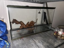 Terrario per rettili usato  Trambileno