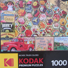 1000 pcs. puzzle for sale  Lutz