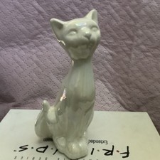 Plain white cat for sale  NEWRY
