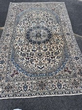 Naiin 6la persian for sale  BLACKBURN