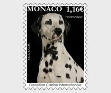 Monaco 2022 dog d'occasion  Lille-