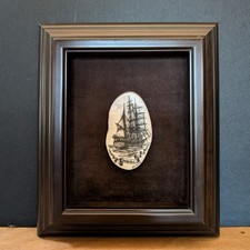 Framed fossilized scrimshaw for sale  La Verne