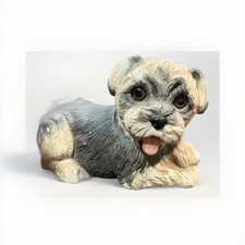 Enesco purebred pets for sale  Lebanon