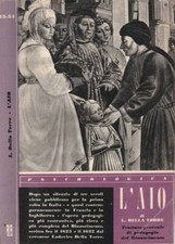 Aio. trattato generale usato  Italia