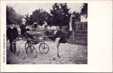 C1910s jacksonville florida for sale  Burnsville