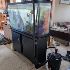 180 gallon aquarium for sale 180 gallon aquarium for sale Kearneysville