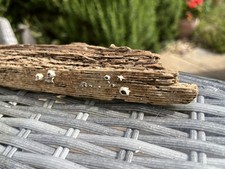 26cm barnacle driftwood for sale  CLACTON-ON-SEA