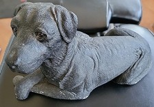 retrievers labrador for sale  Rancho Cucamonga