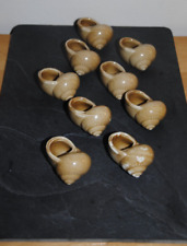 Lot coquilles escargots d'occasion  Strasbourg-