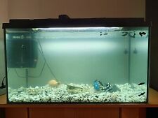 Aquarium fisch gebraucht kaufen  Stuttgart