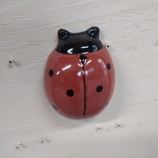 Grande coccinelle rouge d'occasion  Desvres