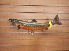 Jbh19 trout fish for sale  Hill City