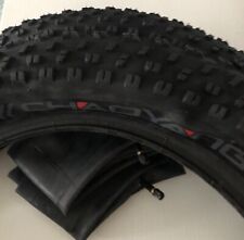 Copertone fat bike usato  Villorba