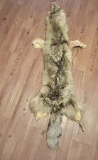 Coyote pelt yukon for sale  Clarksville
