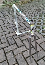 Beautiful colnago steel usato  Maranello